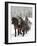 Winter Sleigh Ride, Lake Louise, Alberta, Canada-Cindy Miller Hopkins-Framed Photographic Print