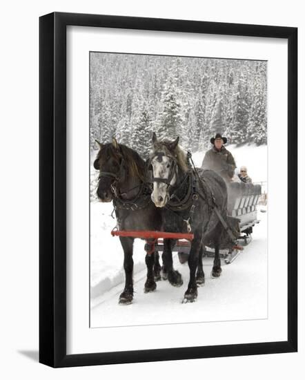 Winter Sleigh Ride, Lake Louise, Alberta, Canada-Cindy Miller Hopkins-Framed Photographic Print