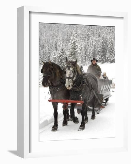 Winter Sleigh Ride, Lake Louise, Alberta, Canada-Cindy Miller Hopkins-Framed Photographic Print