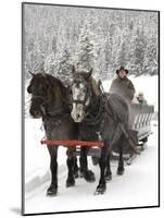 Winter Sleigh Ride, Lake Louise, Alberta, Canada-Cindy Miller Hopkins-Mounted Photographic Print