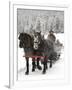 Winter Sleigh Ride, Lake Louise, Alberta, Canada-Cindy Miller Hopkins-Framed Photographic Print