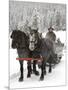 Winter Sleigh Ride, Lake Louise, Alberta, Canada-Cindy Miller Hopkins-Mounted Photographic Print