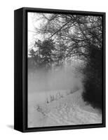 Winter Snow and Fog-null-Framed Stretched Canvas