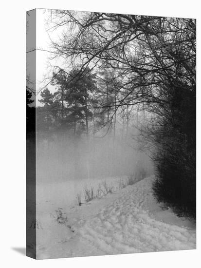 Winter Snow and Fog-null-Stretched Canvas