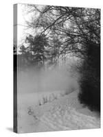 Winter Snow and Fog-null-Stretched Canvas