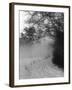 Winter Snow and Fog-null-Framed Photographic Print