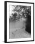 Winter Snow and Fog-null-Framed Photographic Print