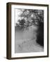 Winter Snow and Fog-null-Framed Photographic Print