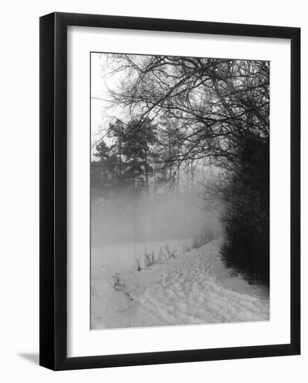 Winter Snow and Fog-null-Framed Photographic Print