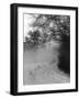 Winter Snow and Fog-null-Framed Photographic Print
