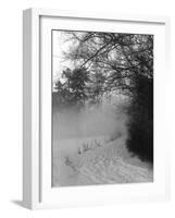 Winter Snow and Fog-null-Framed Photographic Print