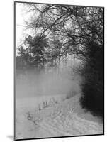 Winter Snow and Fog-null-Mounted Photographic Print