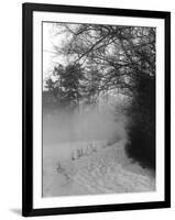 Winter Snow and Fog-null-Framed Photographic Print