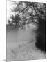 Winter Snow and Fog-null-Mounted Photographic Print