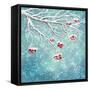 Winter Snow Covered Rowan Berry Background-kostins-Framed Stretched Canvas
