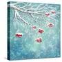 Winter Snow Covered Rowan Berry Background-kostins-Stretched Canvas