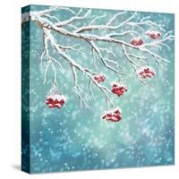 Winter Snow Covered Rowan Berry Background-kostins-Stretched Canvas