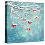 Winter Snow Covered Rowan Berry Background-kostins-Stretched Canvas