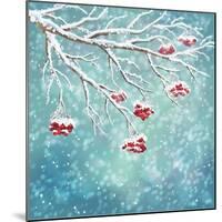 Winter Snow Covered Rowan Berry Background-kostins-Mounted Art Print