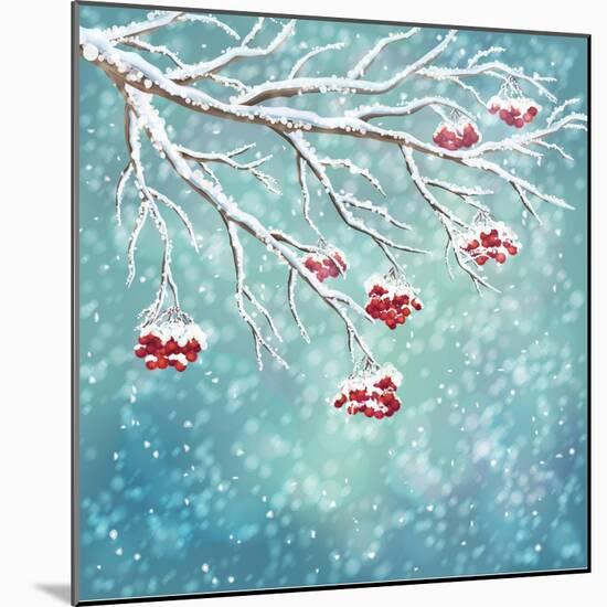 Winter Snow Covered Rowan Berry Background-kostins-Mounted Art Print