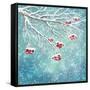 Winter Snow Covered Rowan Berry Background-kostins-Framed Stretched Canvas