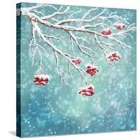 Winter Snow Covered Rowan Berry Background-kostins-Stretched Canvas