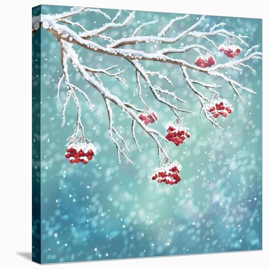 Winter Snow Covered Rowan Berry Background-kostins-Stretched Canvas