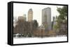 Winter Snow in Central Park, New York City-Zigi-Framed Stretched Canvas