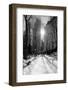 Winter Snow in Central Park, New York City-Zigi-Framed Photographic Print