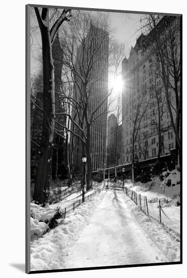 Winter Snow in Central Park, New York City-Zigi-Mounted Photographic Print