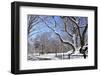 Winter Snow in Central Park, New York City-Zigi-Framed Photographic Print