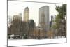 Winter Snow in Central Park, New York City-Zigi-Mounted Photographic Print