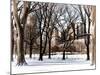 Winter Snow in Central Park View-Philippe Hugonnard-Mounted Photographic Print