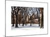 Winter Snow in Central Park View-Philippe Hugonnard-Mounted Photographic Print