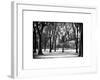 Winter Snow in Central Park View-Philippe Hugonnard-Framed Photographic Print