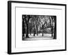 Winter Snow in Central Park View-Philippe Hugonnard-Framed Photographic Print