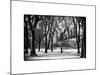 Winter Snow in Central Park View-Philippe Hugonnard-Mounted Photographic Print