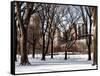 Winter Snow in Central Park View-Philippe Hugonnard-Framed Stretched Canvas