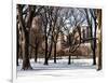 Winter Snow in Central Park View-Philippe Hugonnard-Framed Photographic Print