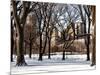 Winter Snow in Central Park View-Philippe Hugonnard-Mounted Photographic Print