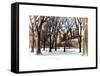 Winter Snow in Central Park View-Philippe Hugonnard-Framed Stretched Canvas