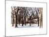 Winter Snow in Central Park View-Philippe Hugonnard-Mounted Photographic Print