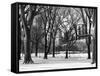 Winter Snow in Central Park View-Philippe Hugonnard-Framed Stretched Canvas