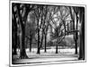 Winter Snow in Central Park View-Philippe Hugonnard-Mounted Photographic Print