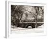 Winter Snow in Central Park-Philippe Hugonnard-Framed Photographic Print