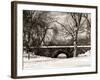 Winter Snow in Central Park-Philippe Hugonnard-Framed Photographic Print