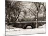 Winter Snow in Central Park-Philippe Hugonnard-Mounted Photographic Print