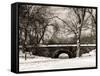 Winter Snow in Central Park-Philippe Hugonnard-Framed Stretched Canvas