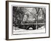 Winter Snow in Central Park-Philippe Hugonnard-Framed Photographic Print