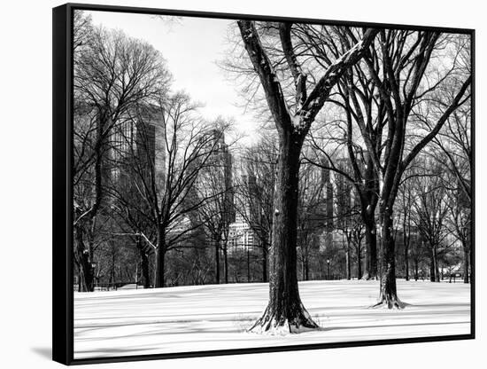 Winter Snow in Central Park-Philippe Hugonnard-Framed Stretched Canvas